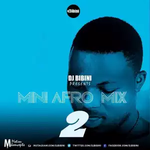 DJ Bibini - Mini Afro Mix Vol.2